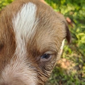 Meet your Posher, Lesly